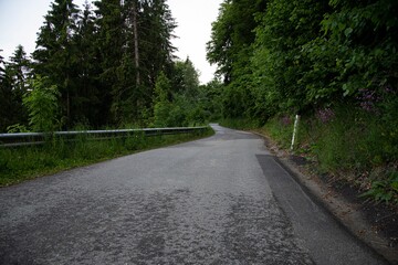Fototapeta na wymiar small asphalt road in a mountain forest in South Austria