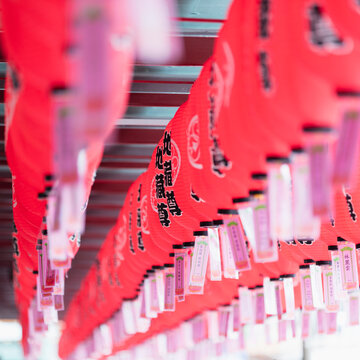 Chinese lanterns hanging in rows