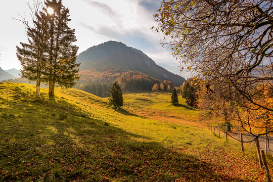 Oytal valley in autumn