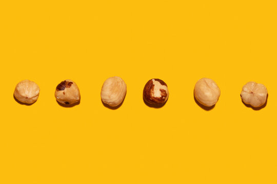 Imperfect organic roasted hazelnuts in a row against yellow background