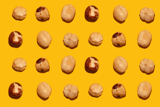 Imperfect organic roasted hazelnuts in rows against yellow background
