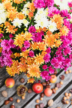 Bouquet of blooming chrysanthemums