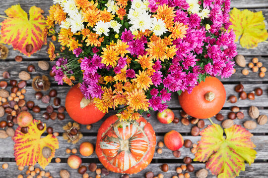 Autumn harvest including bouquet of blooming chrysanthemums, various nuts, apples, pumpkin, squashes and grape leaves