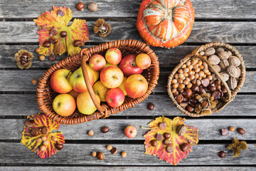 Autumn harvest on garden table: apples, nuts and chestnuts in baskets and edible pumpkin