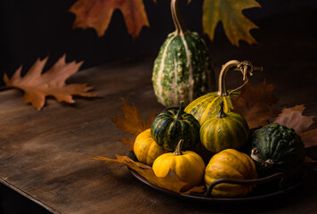 Various decorative pumpkins. Autumn concept