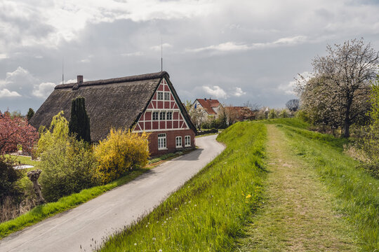 Germany, Altes Land, Half timbered house by road in spring