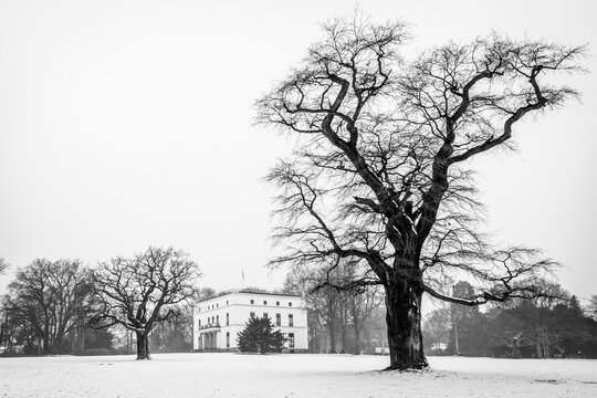 Germany, Hamburg, Jenischhaus in Jenischpark in winter