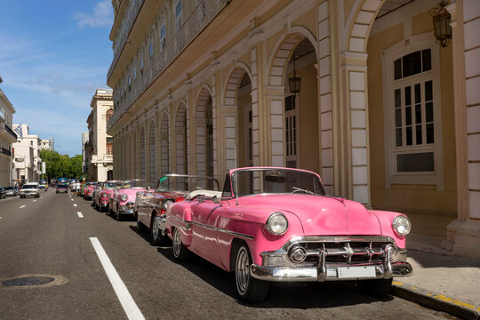 Fototapeta Pink vintage cars parked in city on sunny day