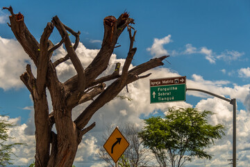 Placas e vetores
