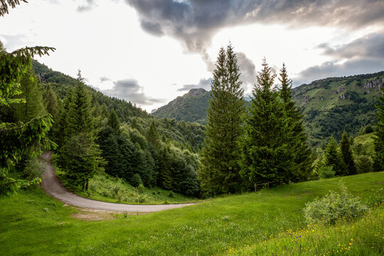 Empty road amidst pine trees and mountains in Province of Brescia, Lombardy, Italy