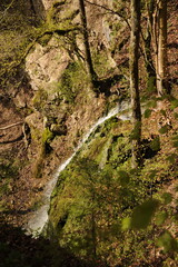 Die Wutachschlucht im Schwarzwald