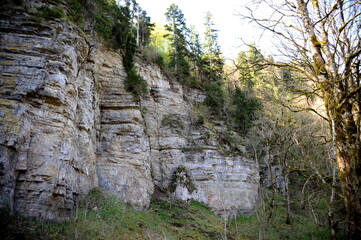 Die Wutachschlucht im Schwarzwald