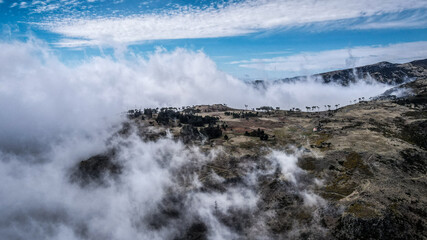 Landscape of Madeira island