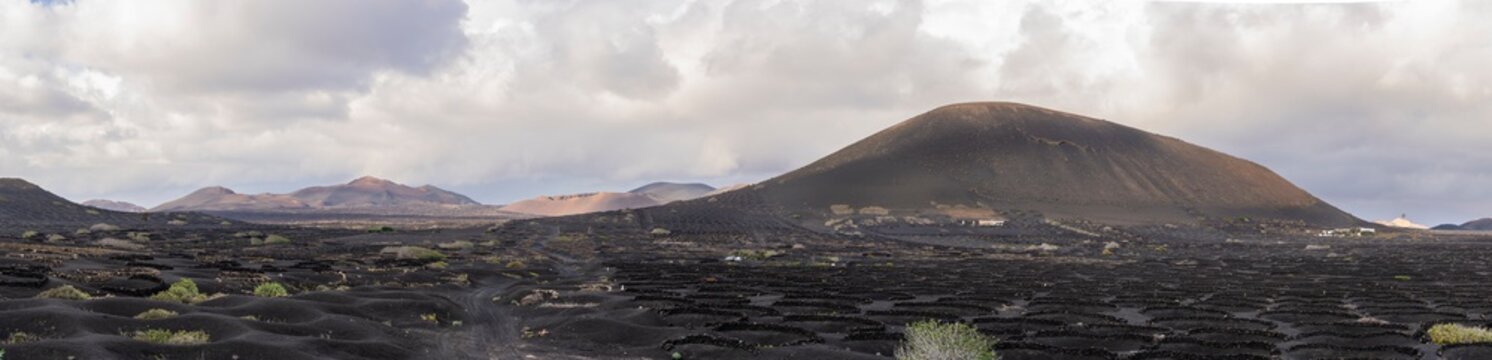 Lanzarote vineyard on black soil of volcanic ash