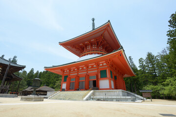 高野山壇上伽藍　根本大塔　和歌山県高野町