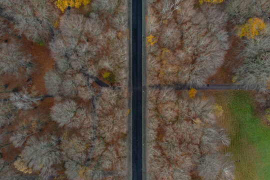 Sweden, Scania, Malmo, Aerial view of straight road cutting through Pildammsparken in autumn