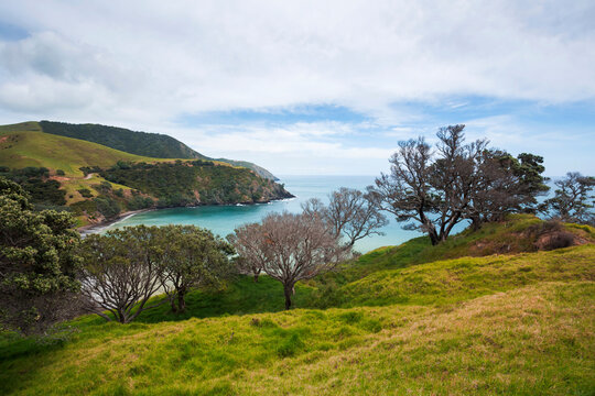 Coastline of Coromandel Peninsula