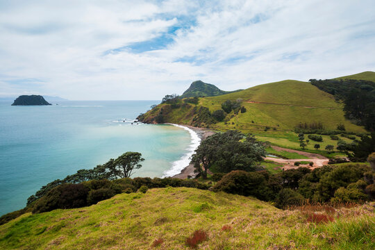 Coastline of&nbsp;Coromandel&nbsp;Peninsula