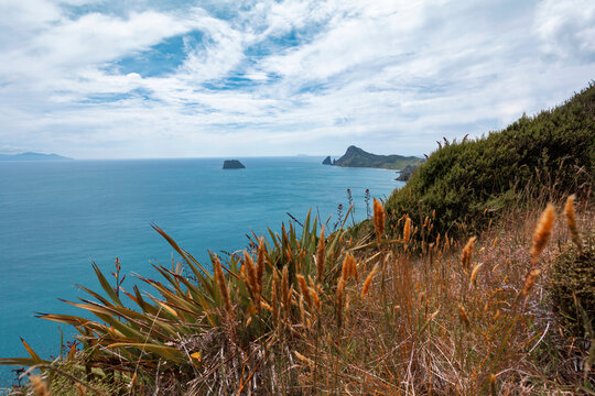 Coastline of Coromandel Peninsula