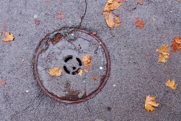 Sewage Hatch on the Wet Road and Autumn Leaves