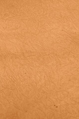 Human skin of European race with traces of grass