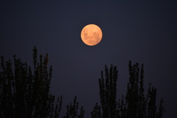 Full Moon Sky from Mendoza, Argentina, South America - The Wheel of Time