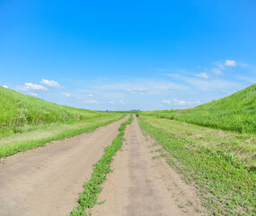 Fototapeta na wymiar Green field in summer on a background of blue sky
