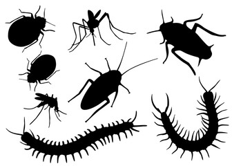 Insect pests in the set. Vector image.;