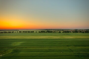 Obraz premium sunset during golden hour on beautiful meadow
