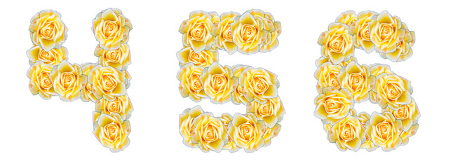 The numbers 4, 5, 6 are made of yellow roses