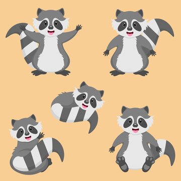 Set of cartoon raccoon characters. Cute cartoon raccoon.