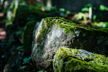 苔むしたお寺の石