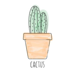 Cute little cactus icon. Vector illustration