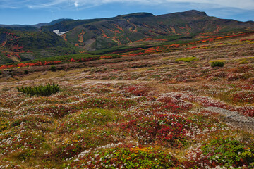 Mt.Daisetsu, Mt.Asahidake 紅葉の大雪山系旭岳
