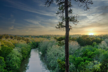 Arkansas trees near river at sunset