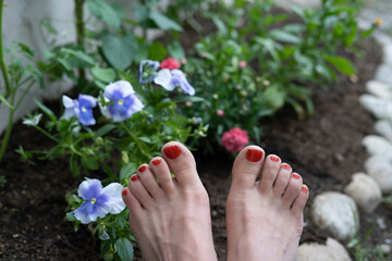 weibliche sch&ouml;ne F&uuml;&szlig;e im Garten