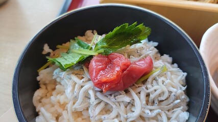 しらすご飯