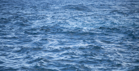 Sea water in rippled water detail background. Ocean waves pattern.