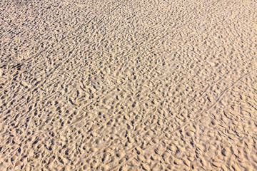 Texture surface of Baltic sandy beach in Heringsdorf, Germany