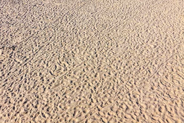 Foto op Plexiglas Heringsdorf, Duitsland Textuuroppervlak van Baltisch zandstrand in Heringsdorf, Duitsland