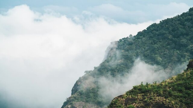 4k timelapse video of clouds hovering over Indian Shola Forest in hills and valley of Ooty, Nilgiris during monsoon
