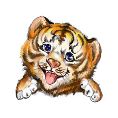 Tiger head. Hand-painted watercolor style, black ink line art. Young predatory wild cat. Cute, smiling happy tiger baby face portrait vector illustration