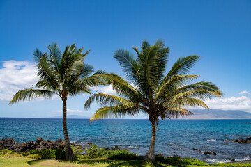 Naklejka na ściany i meble Beach on the Island of Maui, Aloha Hawaii.