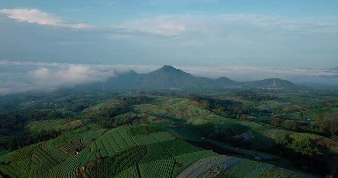 Aerial footage of Dusun Butuh Nepal Van Java vegetable plantation on slope of the Mount Sumbing. Perfect for cinematic, travel, promotion and documentaries video