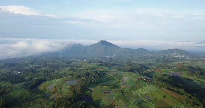 Aerial footage of Dusun Butuh Nepal Van Java vegetable plantation on slope of the Mount Sumbing. Perfect for cinematic, travel, promotion and documentaries video