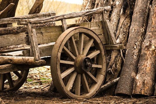 carreta vieja, rueda, campo, madera, rústico