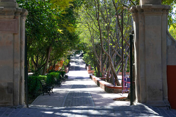 Pasillo en el parque