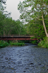 Fototapeta na wymiar 緑の森の木々の間を流れる清らかな小川に懸かる古い橋。