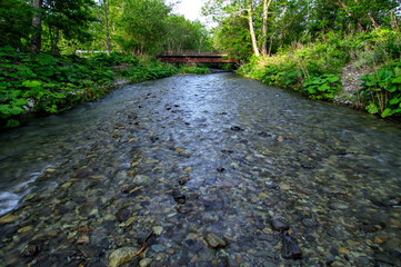 緑の森の木々の間を流れる清らかな小川に懸かる古い橋。