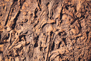 Close up detail of volcanic lava rock basalt found in the desert